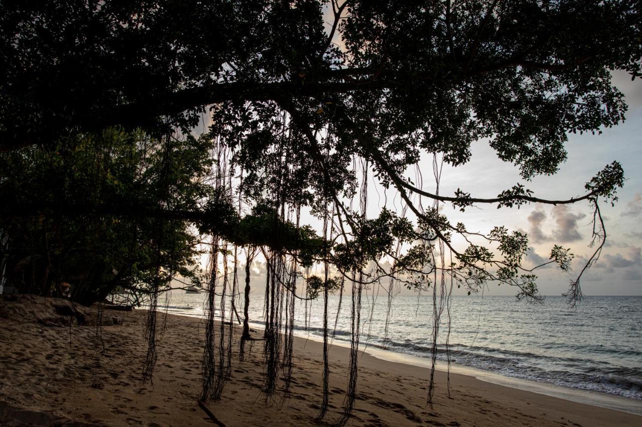 Tioman Cabana Bed & Breakfast Kampong Ayer Batang エクステリア 写真